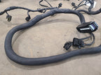 SPRINTV25 2008 Engine Wire Harness 672977