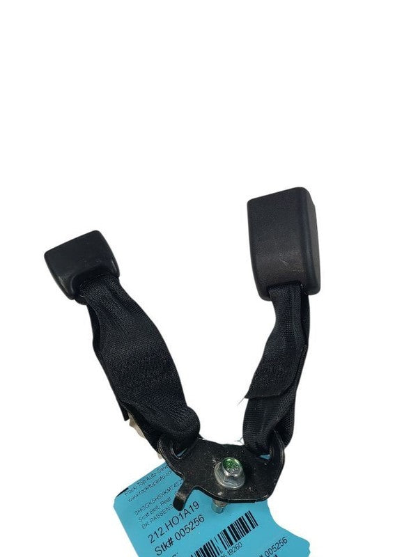 FIT       2019 Seat Belt Rear 649260
