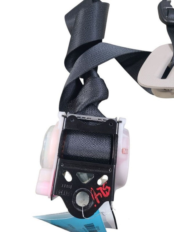 QX80      2017 Seat Belt Rear 648055