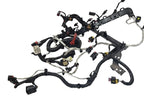 RENEGADE  2020 Engine Wire Harness 595931