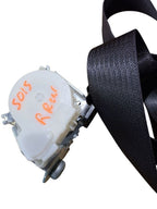 EDGE      2014 Seat Belt Rear 625790