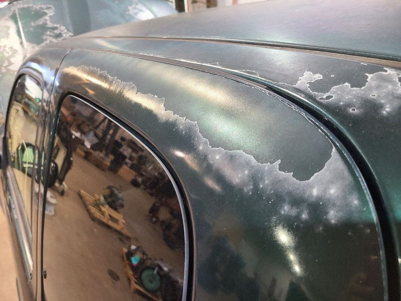 Driver Rear Side Door Extended Cab Side Moulding Fits 00-06 TUNDRA 677