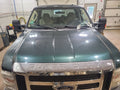 Hood Fits 08-10 FORD F250SD PICKUP 650304