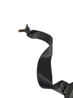 FUSION    2016 Seat Belt Rear 613047