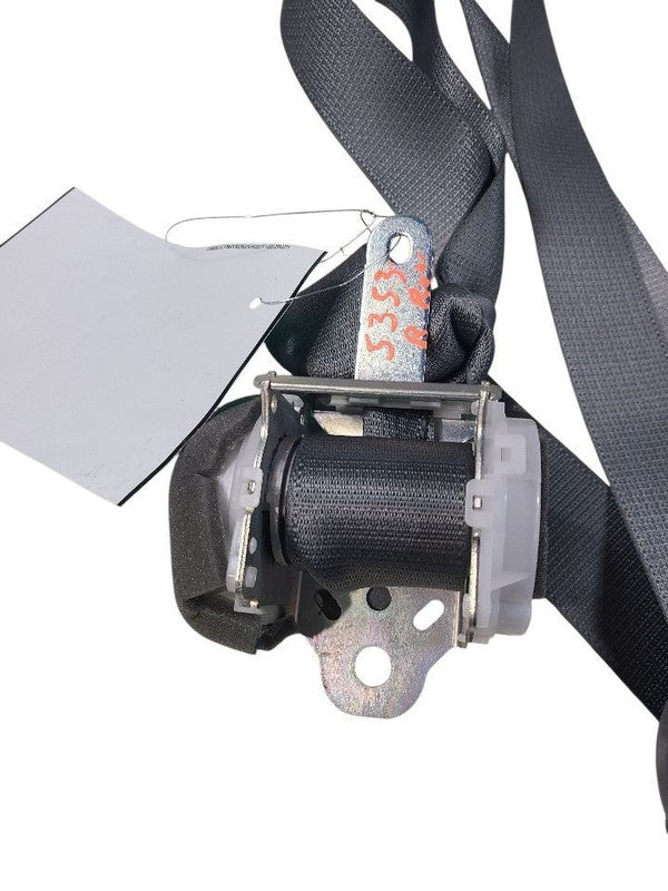 HIGHLANDR 2019 Seat Belt Rear 655743