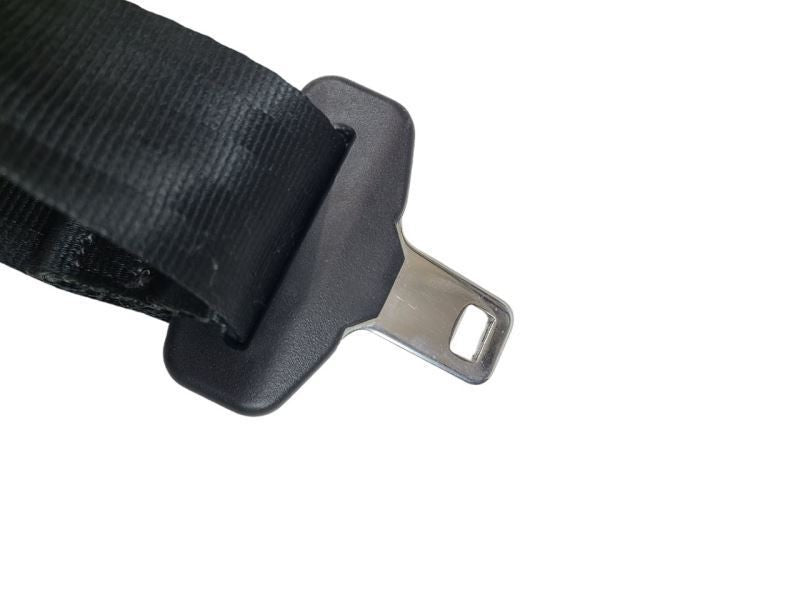 REAR FOCUS     2015 Passenger Side Retractor Seat Belt Rear 575737