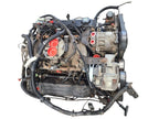 Engine 8-318 5.2L VIN Y 8th Digit Fits 94-97 DAKOTA 667849