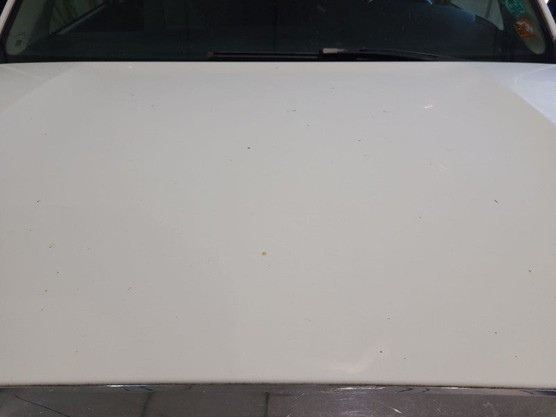 Hood Fits 08-22 SEQUOIA 672596