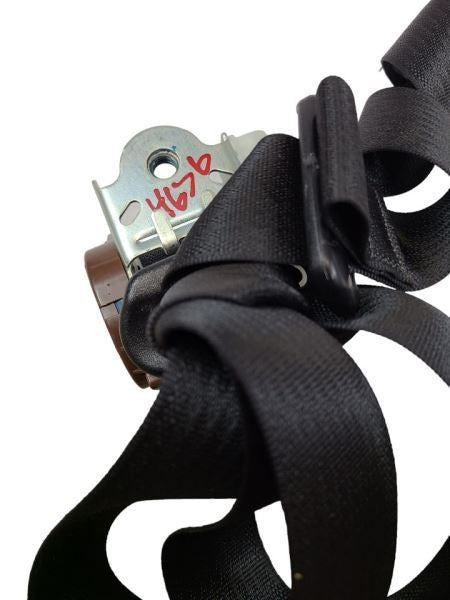GRANDCHER 2014 Seat Belt Rear 589618