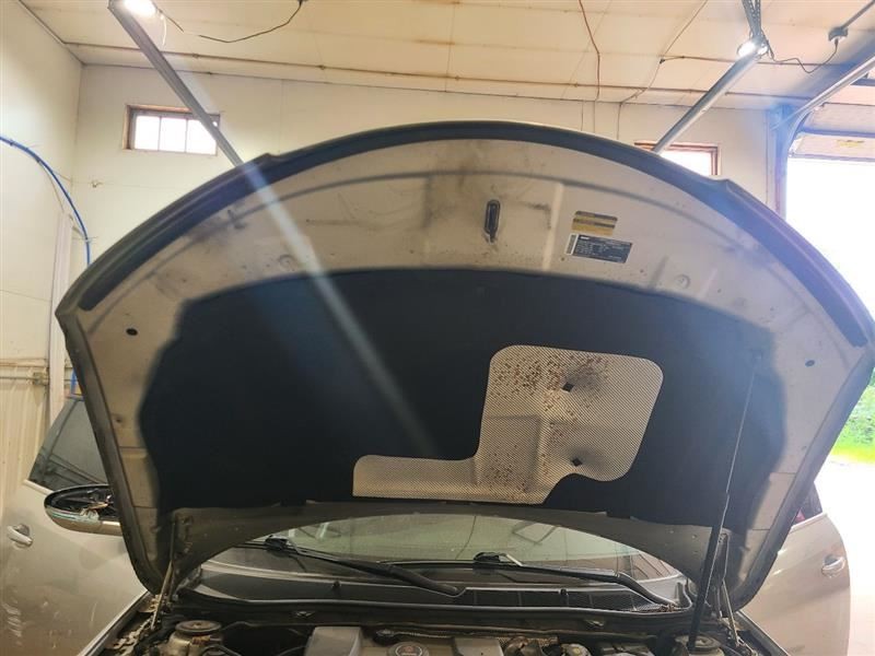 Hood Fits 10-11 SAAB 9-5 591374