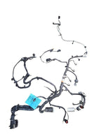 ECOSPORT  2020 Engine Wire Harness 647626