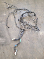 SEQUOIA   2005 Engine Wire Harness 664287