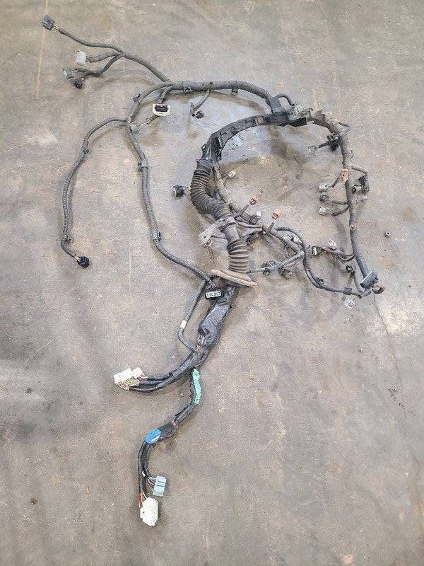 SEQUOIA   2005 Engine Wire Harness 664287