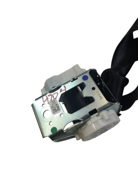 ESCAPE    2018 Seat Belt Rear 592480