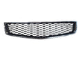 Grille LS Lower Center Fits 10-15 EQUINOX 669050