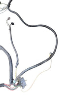 CUSTOM-SW 1978 Lamp Wiring Harness 647945