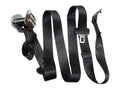 GRANDCHER 2017 Seat Belt Rear 613605