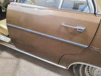 Driver Left Rear Side Door Fits 68-76 DART 668126
