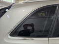 Passenger Quarter Glass VIN Fp 7th And 8th Digit Fits 09-17 AUDI Q5 63