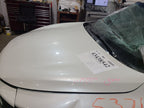 Hood Fits 14-20 INFINITI QX60 656944