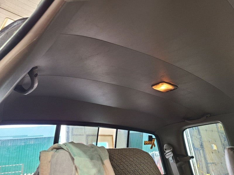 T100      1996 Headliner 676236