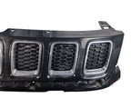 Grille Upper Chrome Insert Fits 17-21 COMPASS 656679