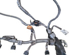 TACOMA    2002 Engine Wire Harness 635439