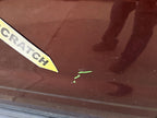 Driver Rear Side Door Electric Privacy Tint Glass Fits 06-10 EXPLORER 