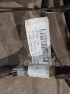 BOXSTER   2006 Body Wire Harness 604328