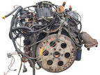 Engine 8-307 5.0L VIN Y 8th Digit Fits 88-90 BROUGHAM 677811