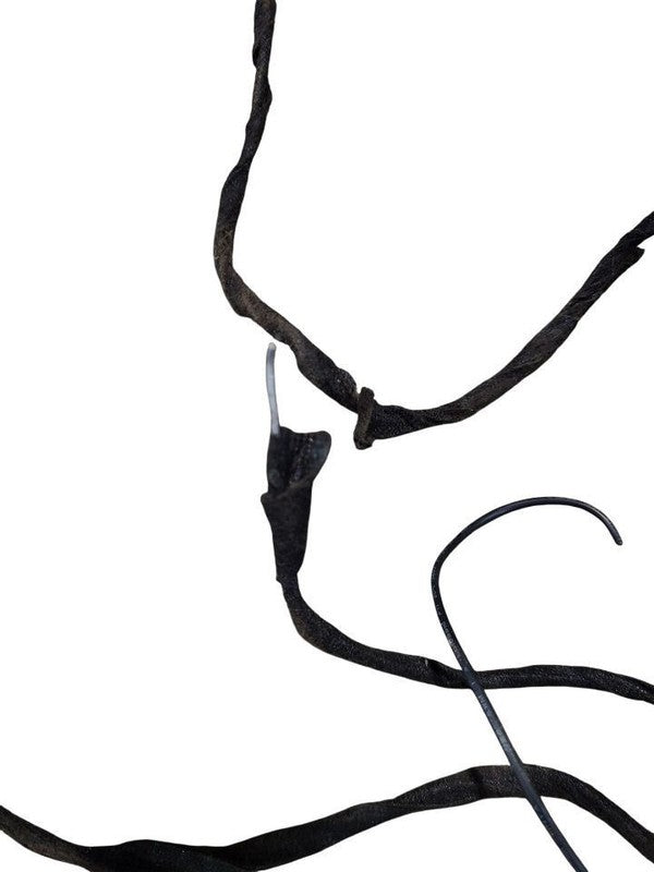 4 RUNNER  2005 Lamp Wiring Harness 639677