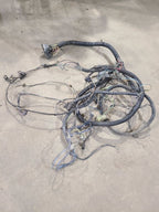 PACER     1976 Engine Wire Harness 661331