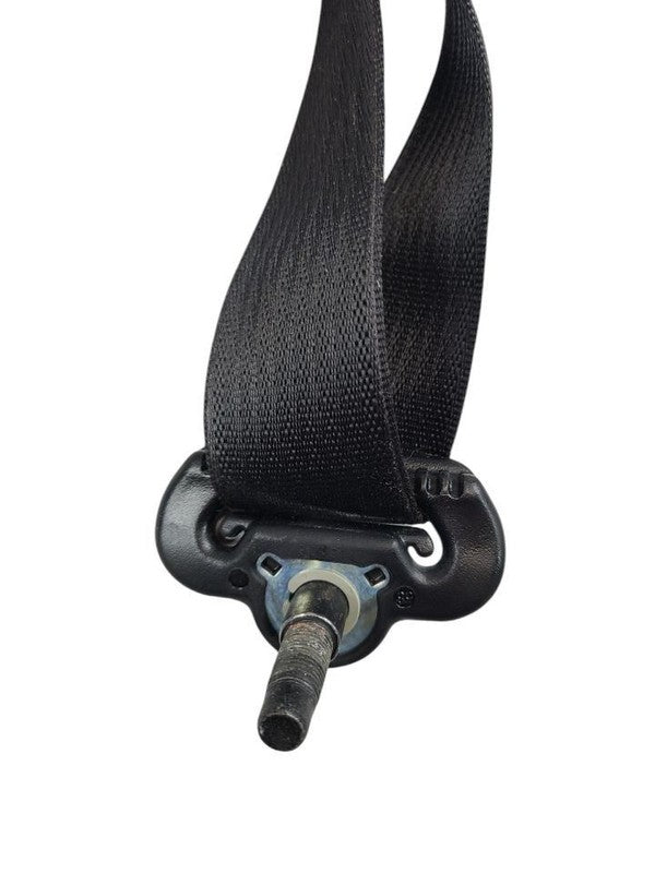 GRANDCHER 2017 Seat Belt Rear 613604