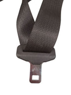 SILVRDO15 2017 Seat Belt Rear 600715