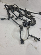 OUTBAKLEG 2018 Engine Wire Harness 651568