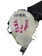 SIEDENALI 2010 Seat Belt Rear 613151