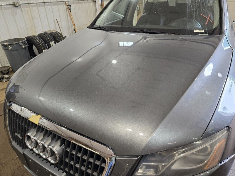 Hood Fits 09-12 AUDI Q5 638998