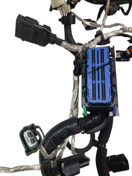 RENEGADE  2020 Engine Wire Harness 595931
