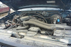 REAR TFORD150  1994 Passenger Side Rear Seat Belt 173524
