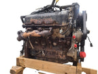 Engine 3.7L VIN K 8th Digit Fits 04 DAKOTA 660150