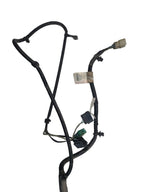 F250SD    2018 Lamp Wiring Harness 679390
