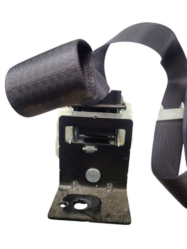 SILVRDO15 2017 Seat Belt Rear 616248