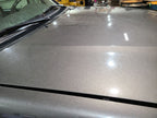 Hood Fits 01-07 SEQUOIA 664216