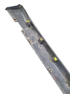 TORRENT   2009 Rocker Panel Moulding 666220