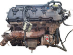 Engine 5.0L VIN F 8th Digit Thru 01/03/13 Fits 11-13 FORD F150 PICKUP 