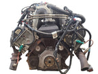 Engine 4.6L VIN 6 8th Digit Windsor Fits 97-98 EXPEDITION 666826