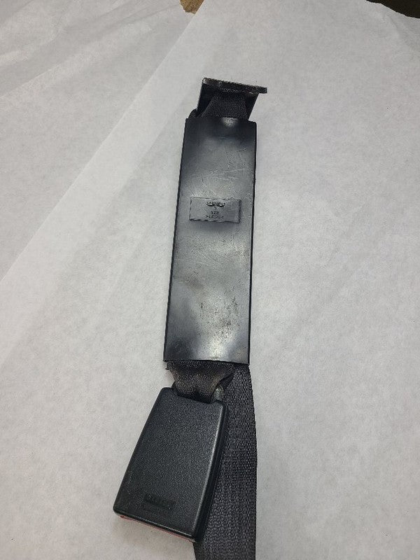 SILVRDO25 2010 Seat Belt Rear 605978