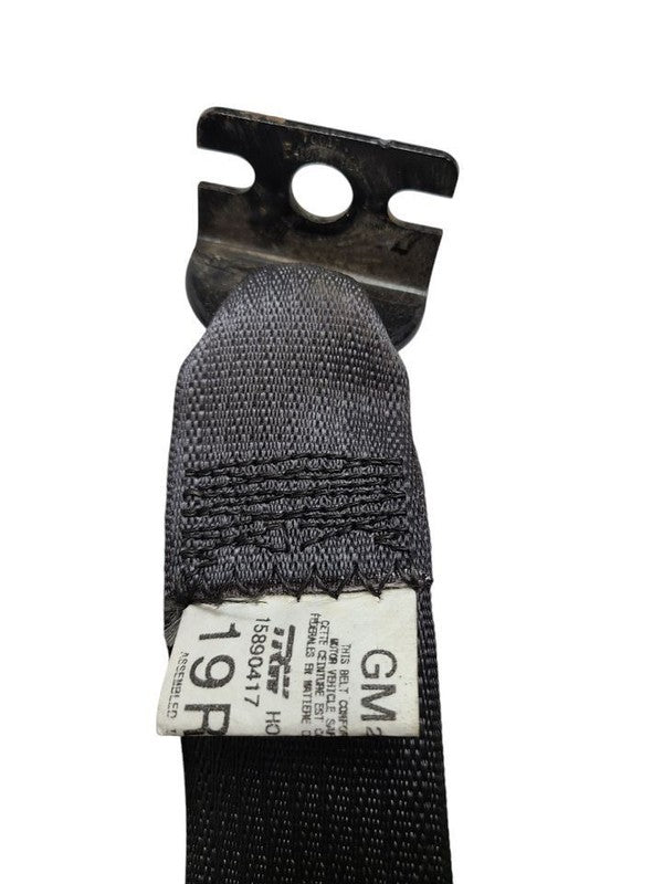 SIEDENALI 2010 Seat Belt Rear 613149