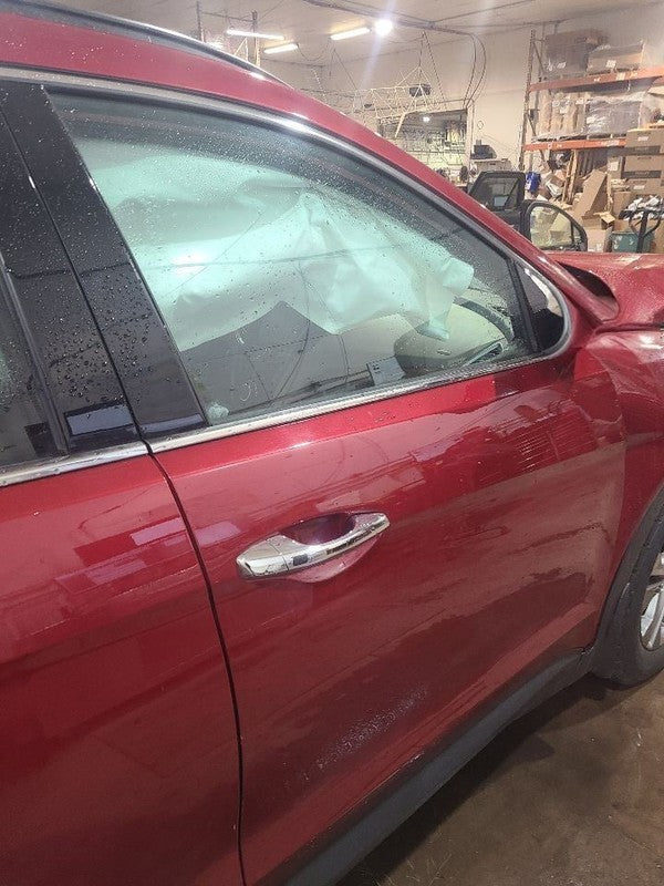 Passenger Right Front Door LWB Fits 15-19 SANTA FE 652643