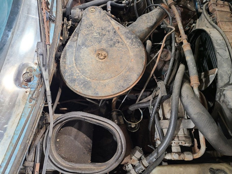 Engine 6-258 VIN A 7th Digit Fits 75-79 PACER 661313